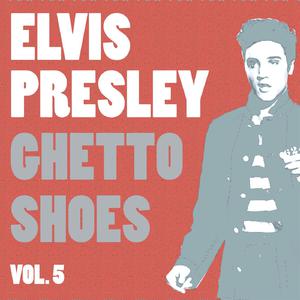 Moody Blue - Elvis Presley (AP Karaoke) 带和声伴奏