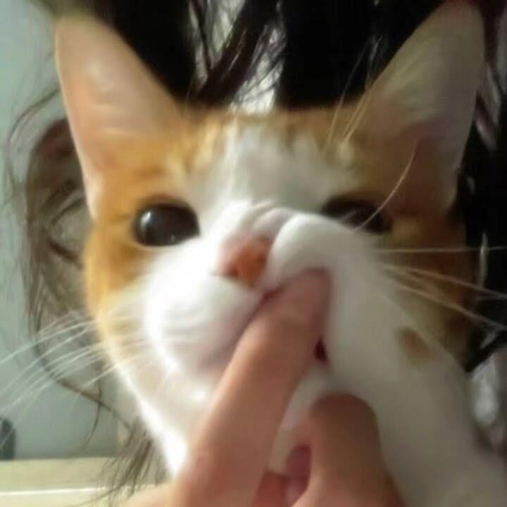 Met Her on the Internet Instrumental