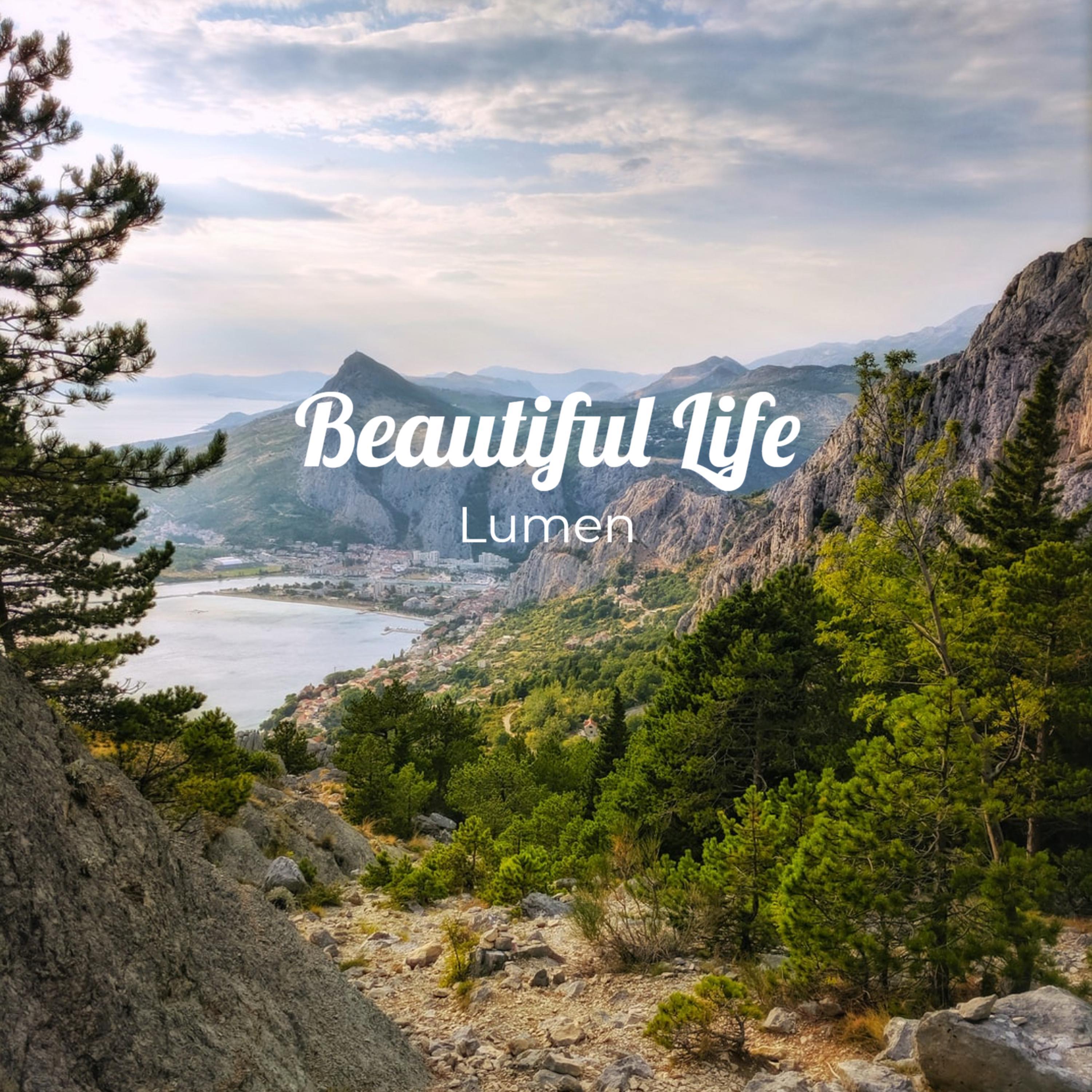 Beautiful Life
