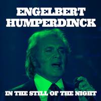 You Belong To My Heart - Engelbert Humperdinck (unofficial Instrumental)