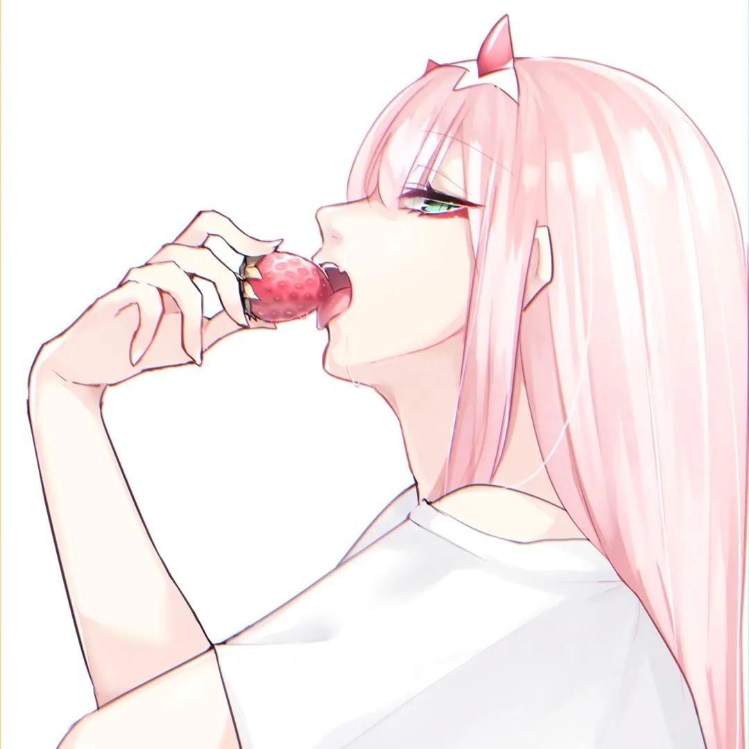 蠢货2024