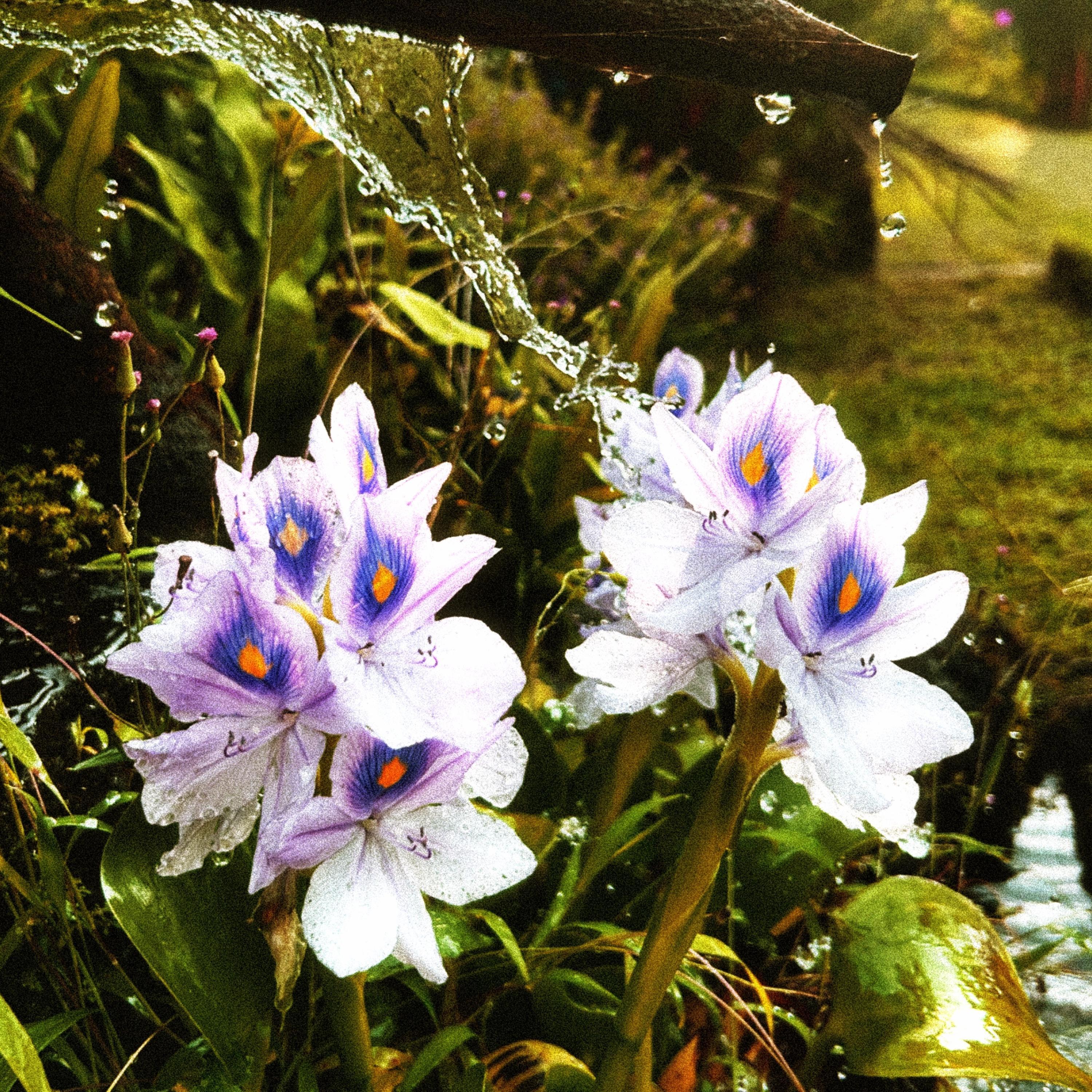 Serenity (feat. Lulu Marie)