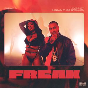 Freak - Tyga & Megan Thee Stallion (Pro Karaoke) 带和声伴奏 （升2半音）
