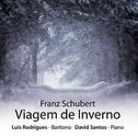 Viagem De Inverno - Winterreise (Franz Schubert)专辑
