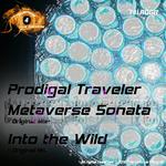 Metaverse Sonata / Into The Wild专辑