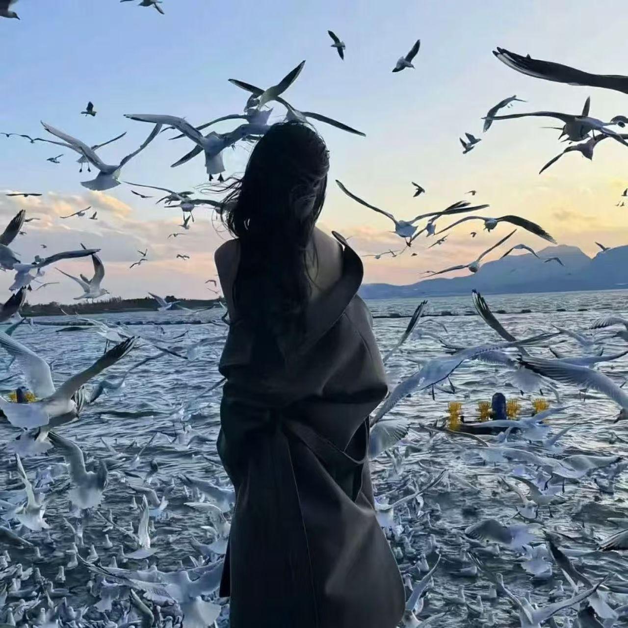 侧脸旋律