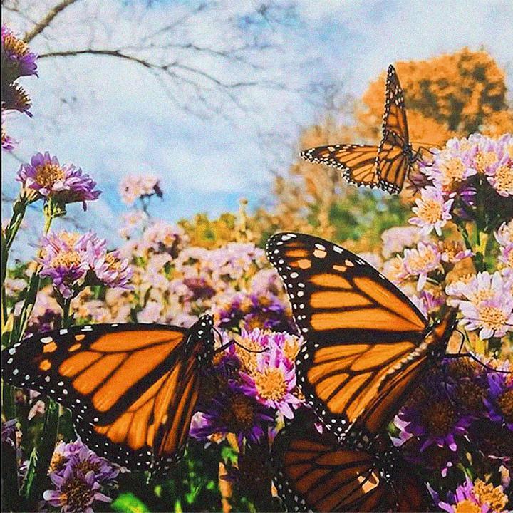 [免费] Playboi Carti |Pierre Bourne "Jugg" Type Beat