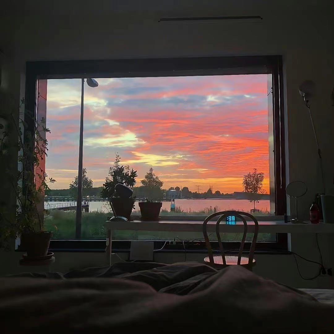 太多的爱(too much)