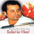 Bulbul Ko Phool - Vol. 16