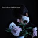 Black Rainbows (Deluxe)专辑