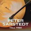 Peter Sarstedt - Frozen Orange Juice