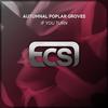 Autumnal Poplar Groves - If You Turn (Extended Mix)