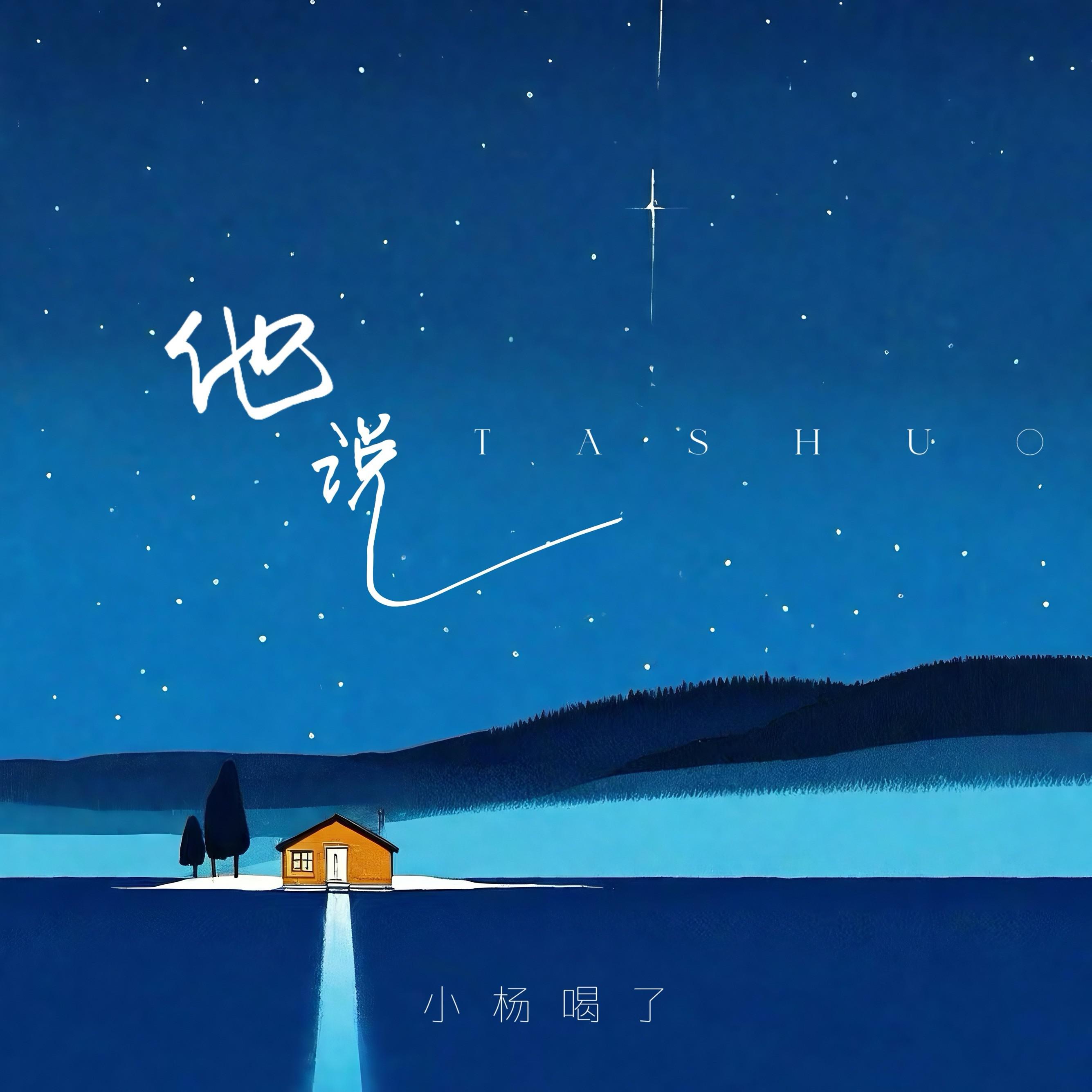 他说专辑