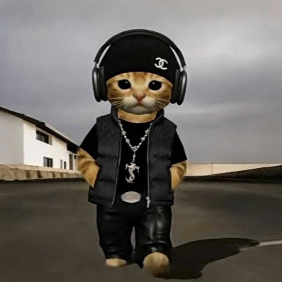 睡不着（Views_Official）