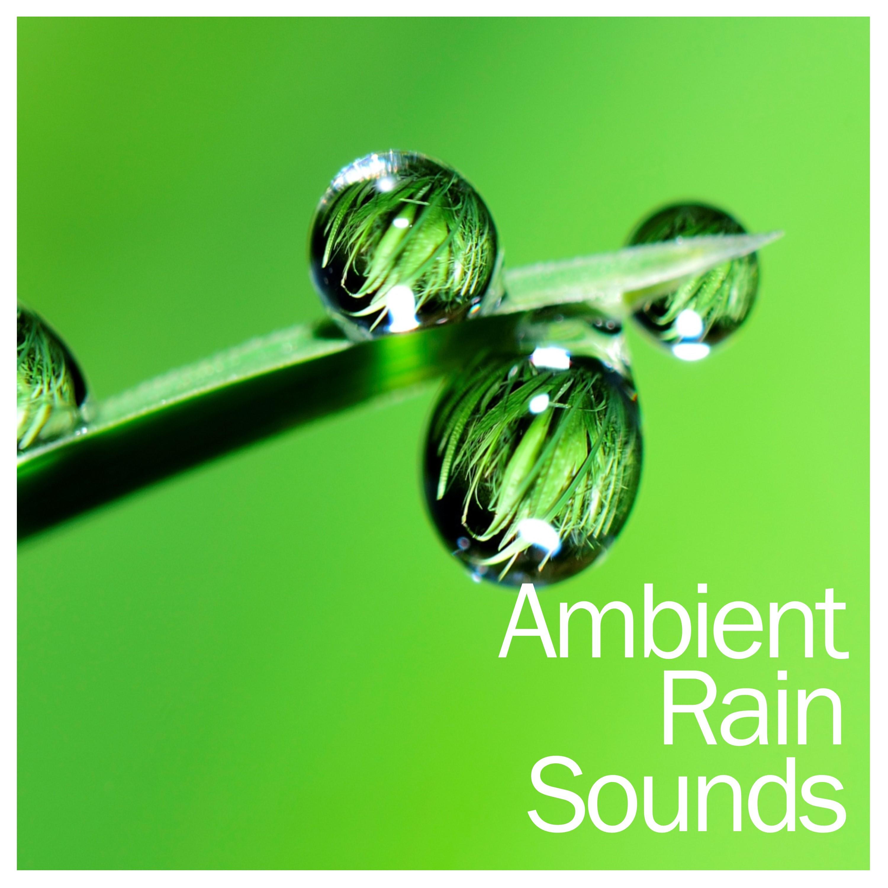 14 Ambient Rain Sounds - Calming Sounds of Mother Nature专辑