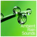 14 Ambient Rain Sounds - Calming Sounds of Mother Nature专辑