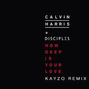 How Deep Is Your Love (Kayzo Remix)