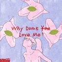 "Why Don't You Love Me?"专辑