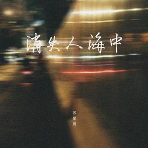 刘烁七、陆杰awr - 被风吹向人海(伴奏).mp3