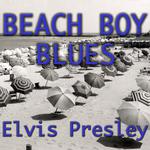 Beach Boy Blues专辑