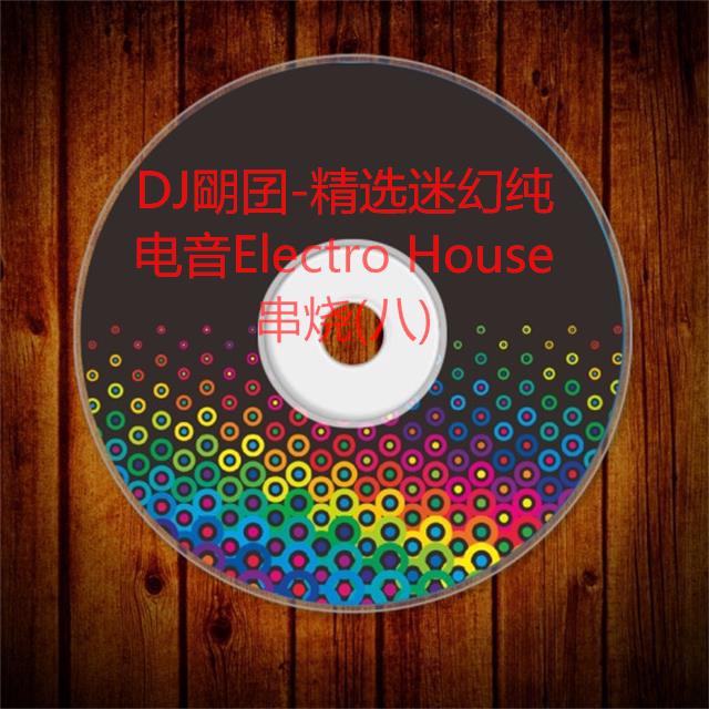 DJ朙囝-精选迷幻纯电音Electro House串烧(八)专辑