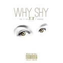 Why Shy Ⅱ