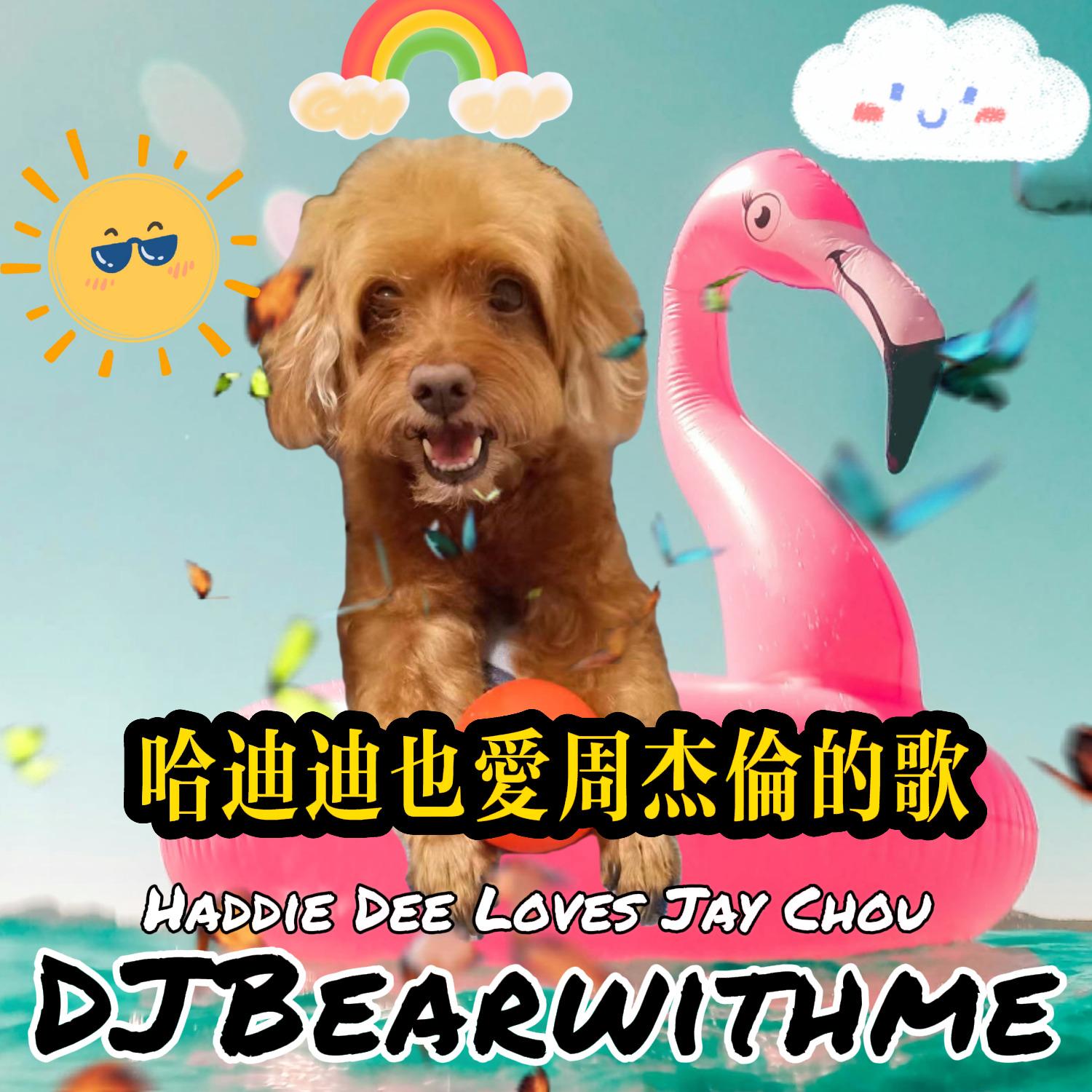 哈迪迪也愛周杰倫的歌 Haddie Dee Loves Jay Chou