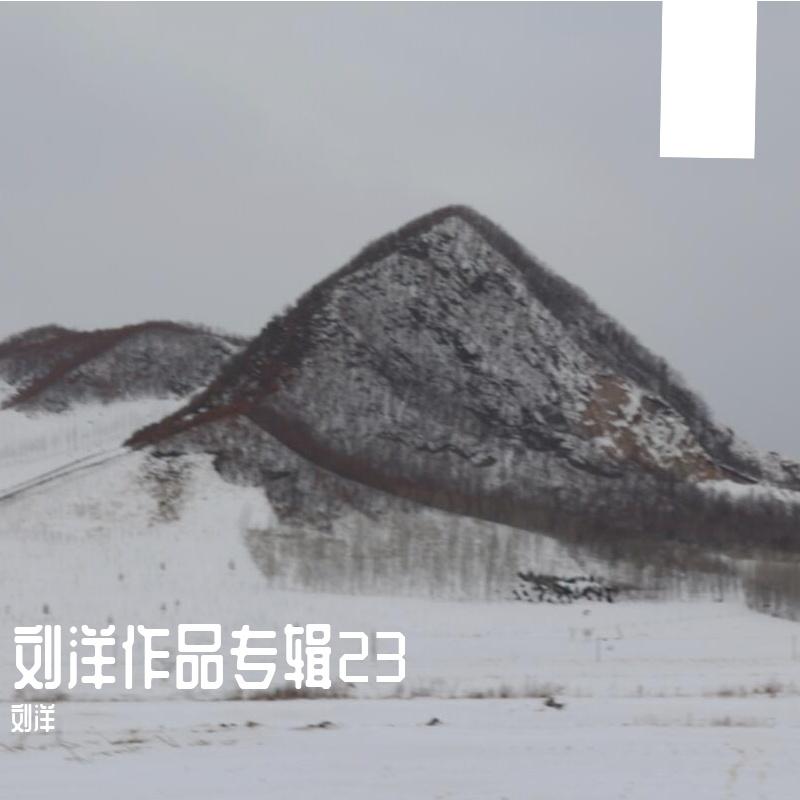 刘洋作品专辑23