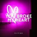 You Broke My Heart