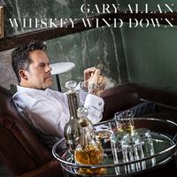 Gary Allan - Waste Of A Whiskey Drink (KV Instrumental) 无和声伴奏