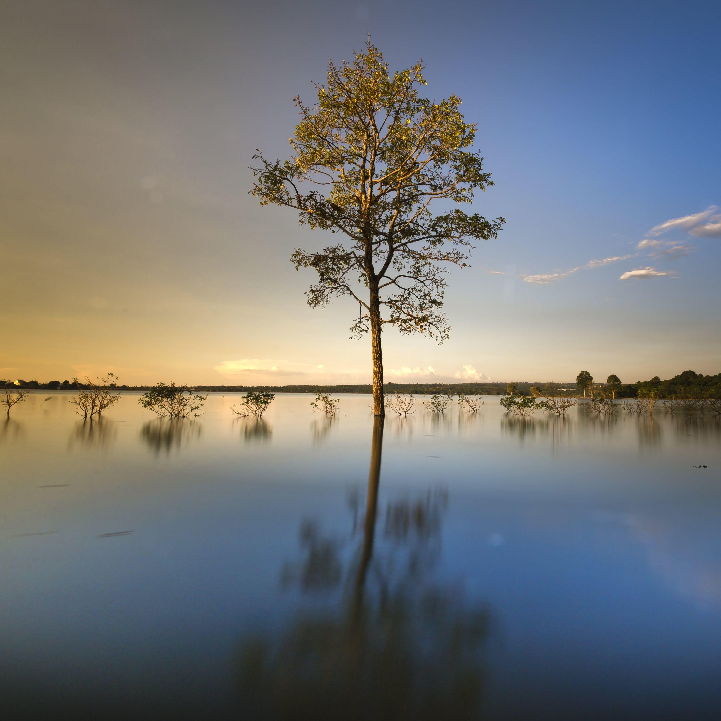 Relaxing Sounds of Nature | Soothing Music | Relaxation