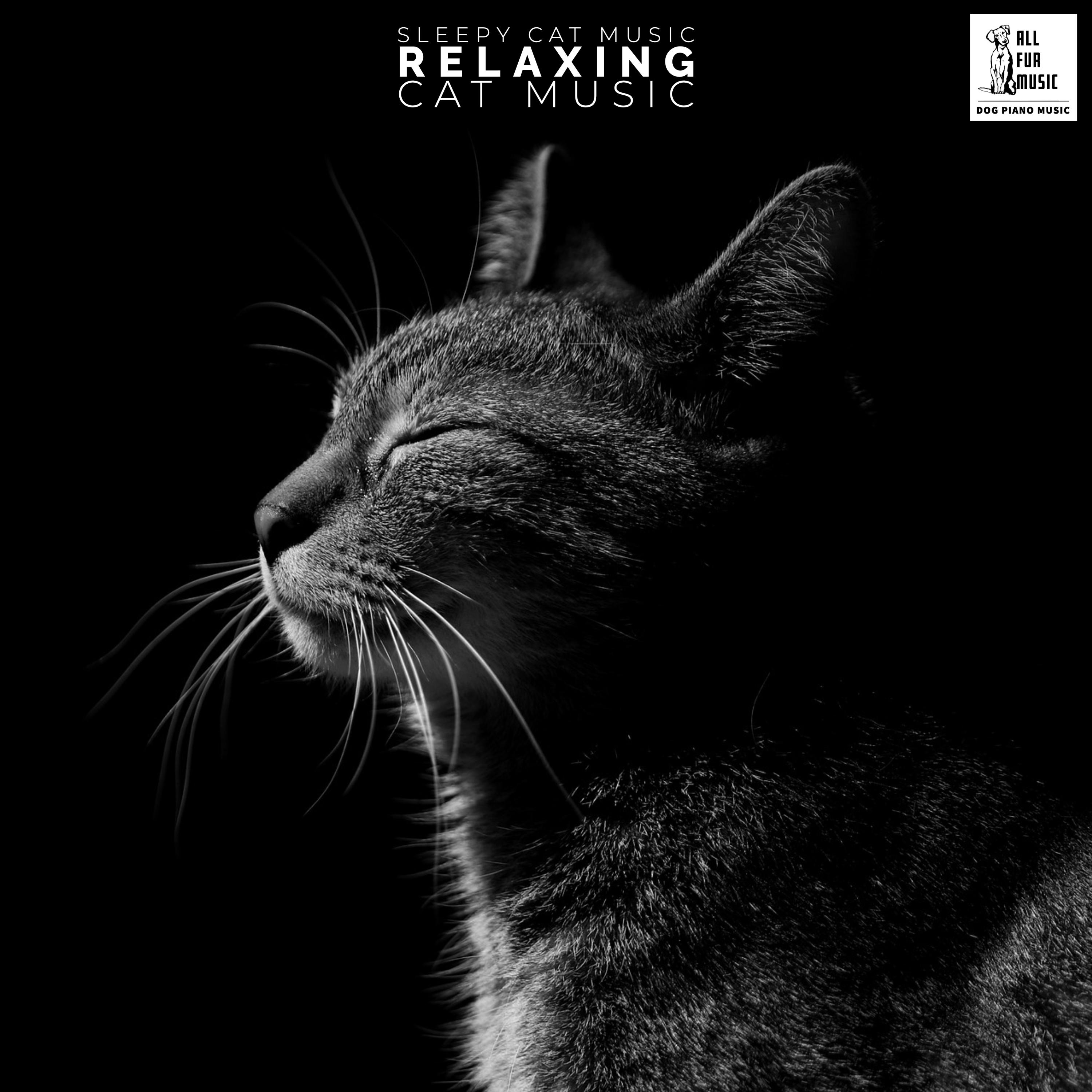 Sleepy Cat Music - Relaxing Cat Music
