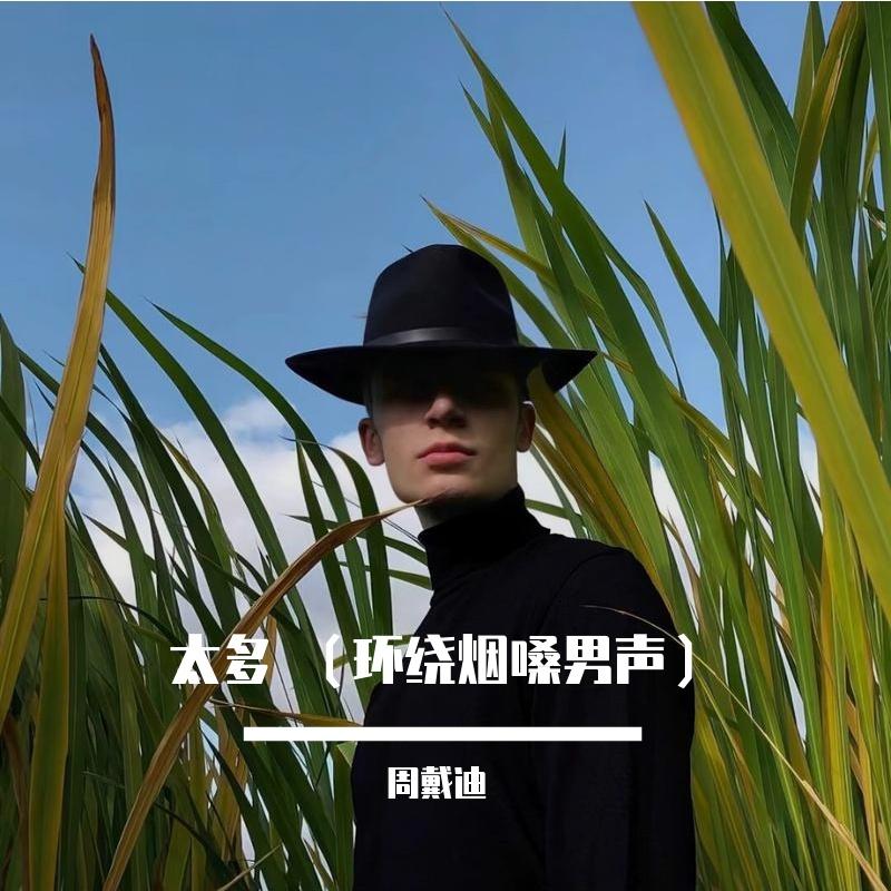 太多