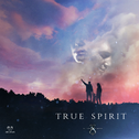 True Spirit专辑