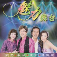 赵红富 - 魅力舞台(原版立体声伴奏)