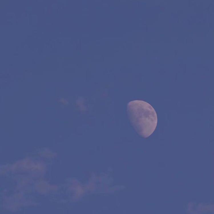 空想的国度