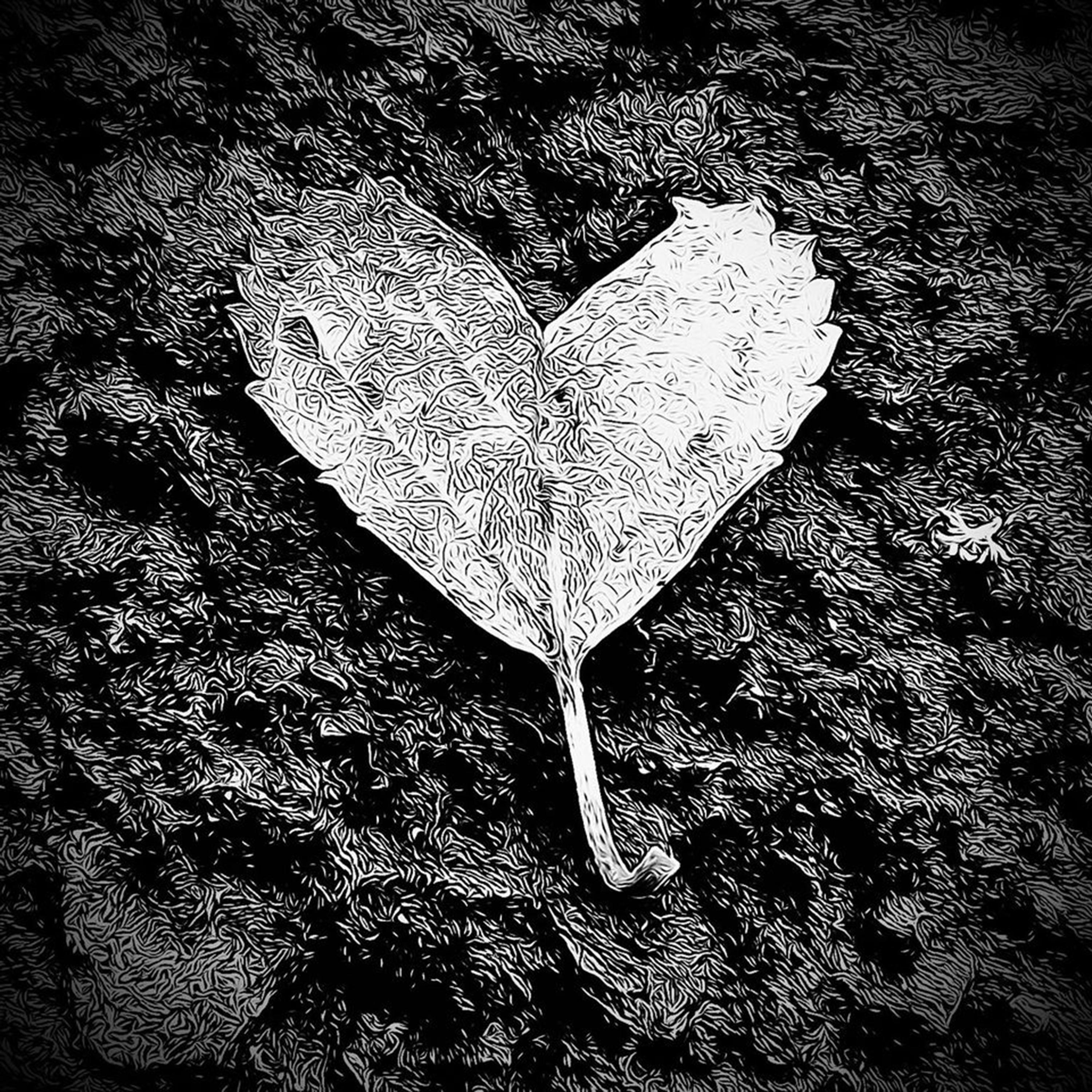 If My Heart Aches (Atticus Dub Mix)
