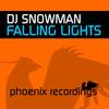 DJ Snowman - Falling Lights (Intro Mix)