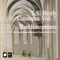 J.S. Bach: Cantatas Vol. 7