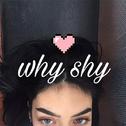 WHY SHY(remix)专辑