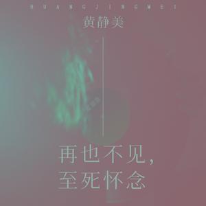 黄静美 - 不再痴情(DJ刘超版伴奏).mp3