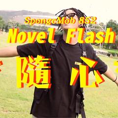 Novel Fla$h - 隨心