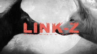 LINK-Z