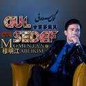 Gulsedef 古丽赛戴芙专辑