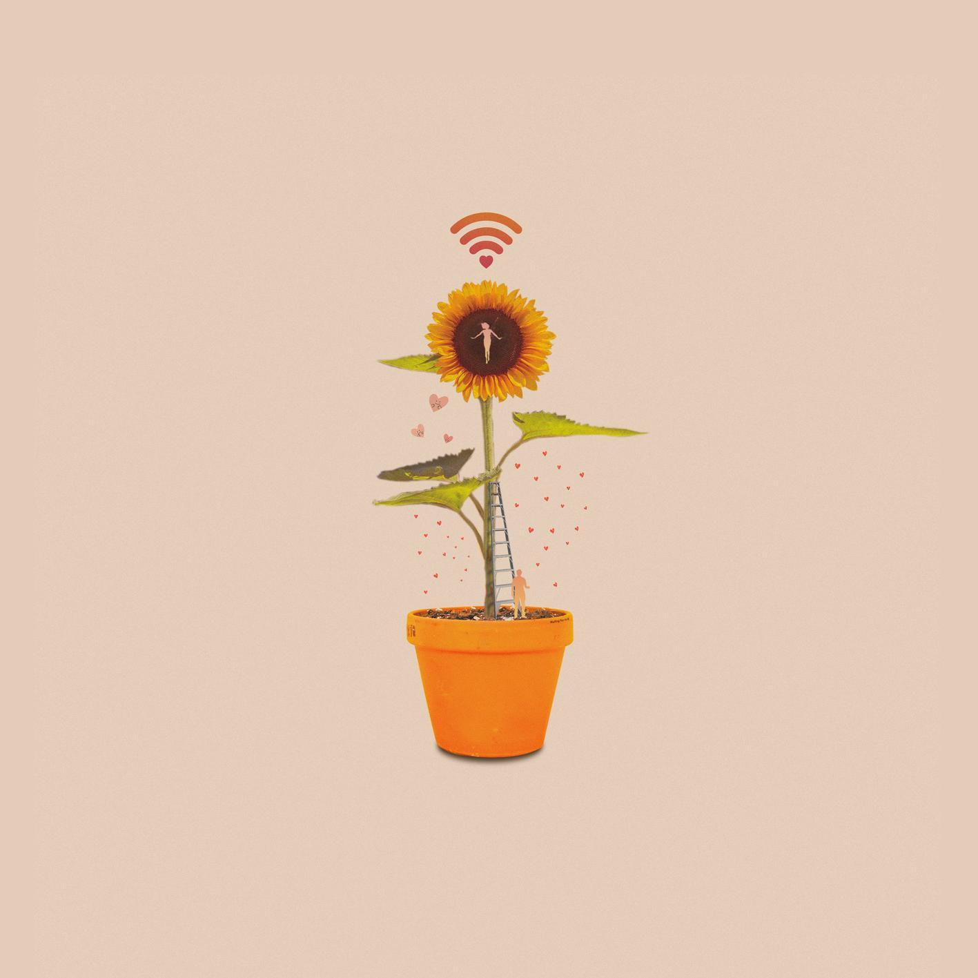 Seoul Vibes, Pt. 10