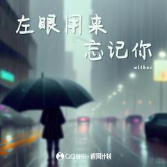 左眼用来忘记你 (和声伴奏)