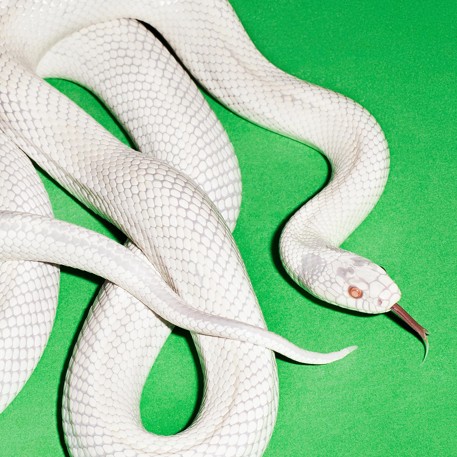 i think about you all the time