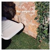 Nur wegen dir