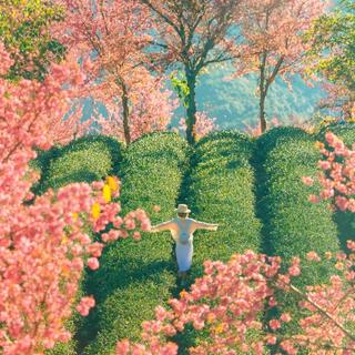 等到风景都看透，也许你会陪我看细水长流