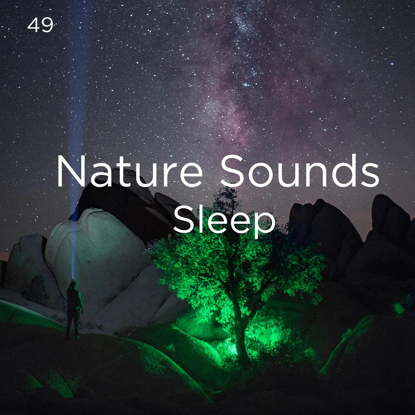 49 Nature Sounds Sleep